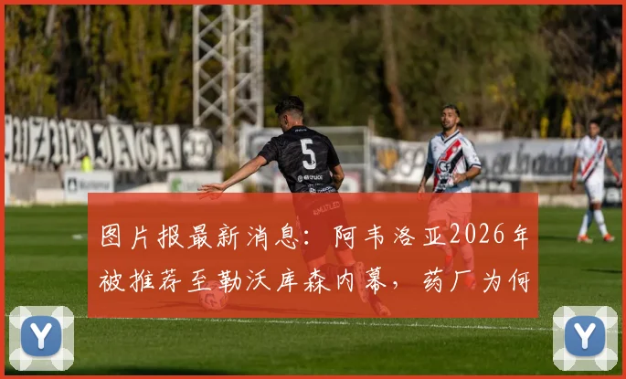 图片报最新消息：阿韦洛亚2026年被推荐至勒沃库森内幕，药厂为何果断拒绝？转会市场规则解读