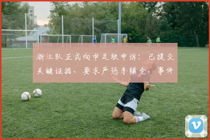 浙江队正式向中足联申诉:已提交关键证据,要求严惩李镇全,事件最新进展详解